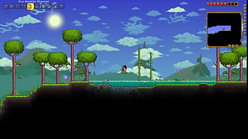 Terraria